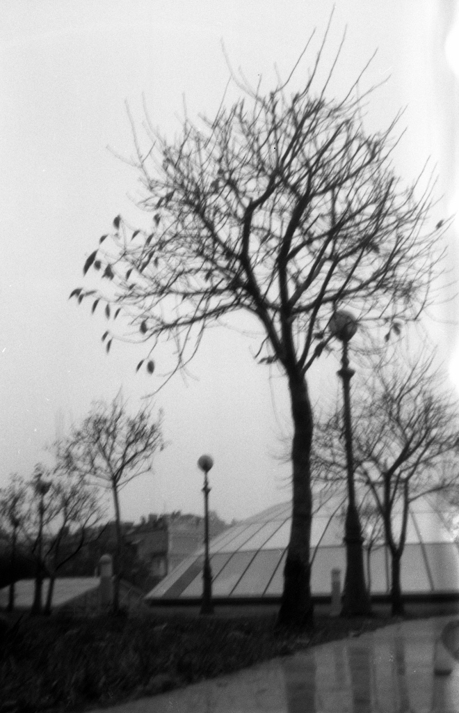 e6972d3783c102c5e3c289457f50368322e8